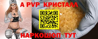 спиды Будённовск